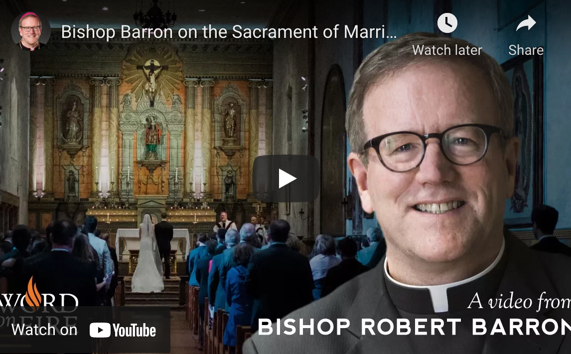 Bishop Barron Video link