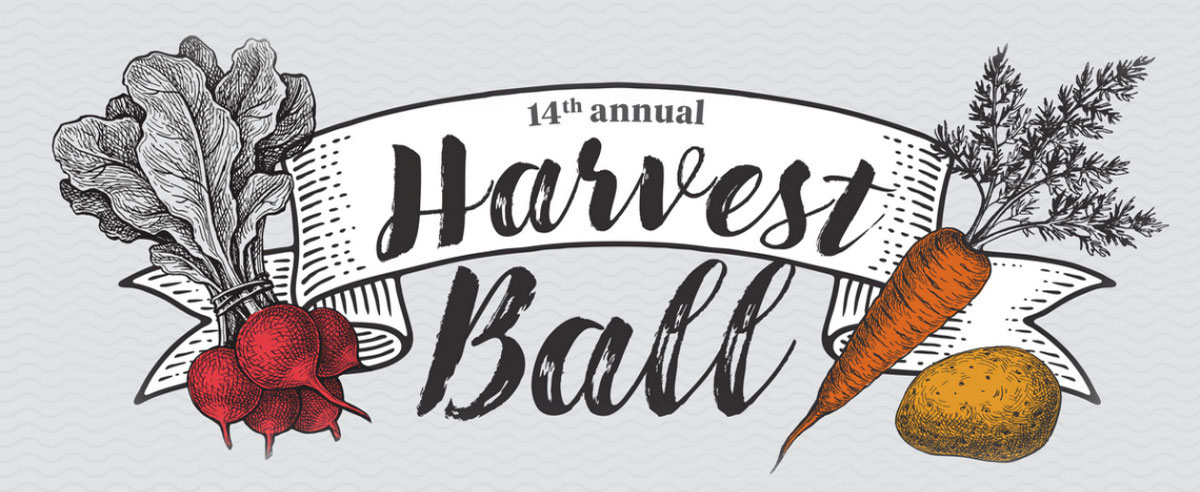 Harvest Ball Banner 2022