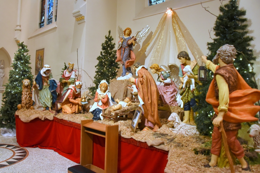 Manger at the Cathedral of the Immaculate Conception